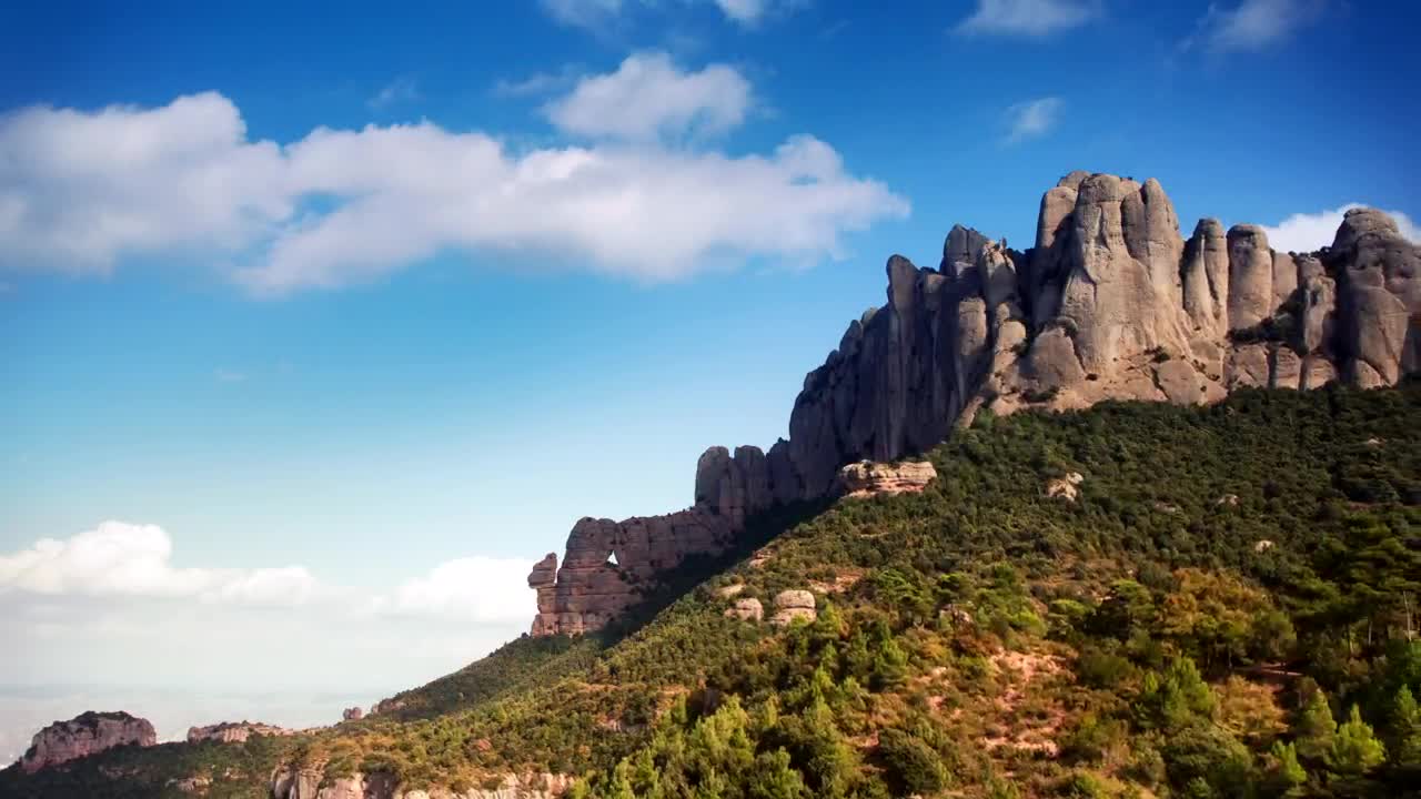 Free Stock Video Rocky Mountains In The Forest Live Wallpaper