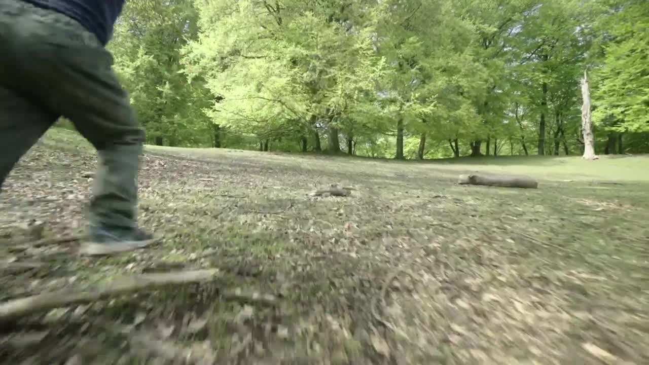 Free Stock Video Running Towards The Shade Live Wallpaper