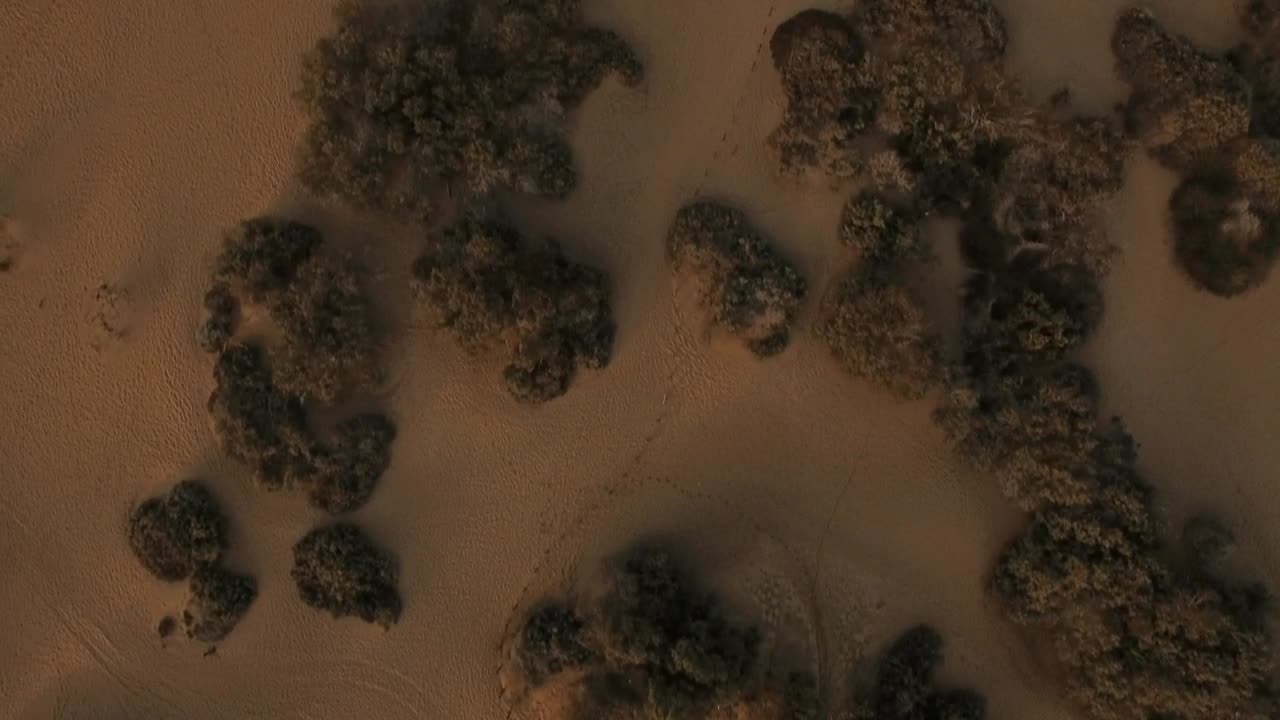 Free Stock Video Sand And Dry Plants Close To The Ocean Live Wallpaper