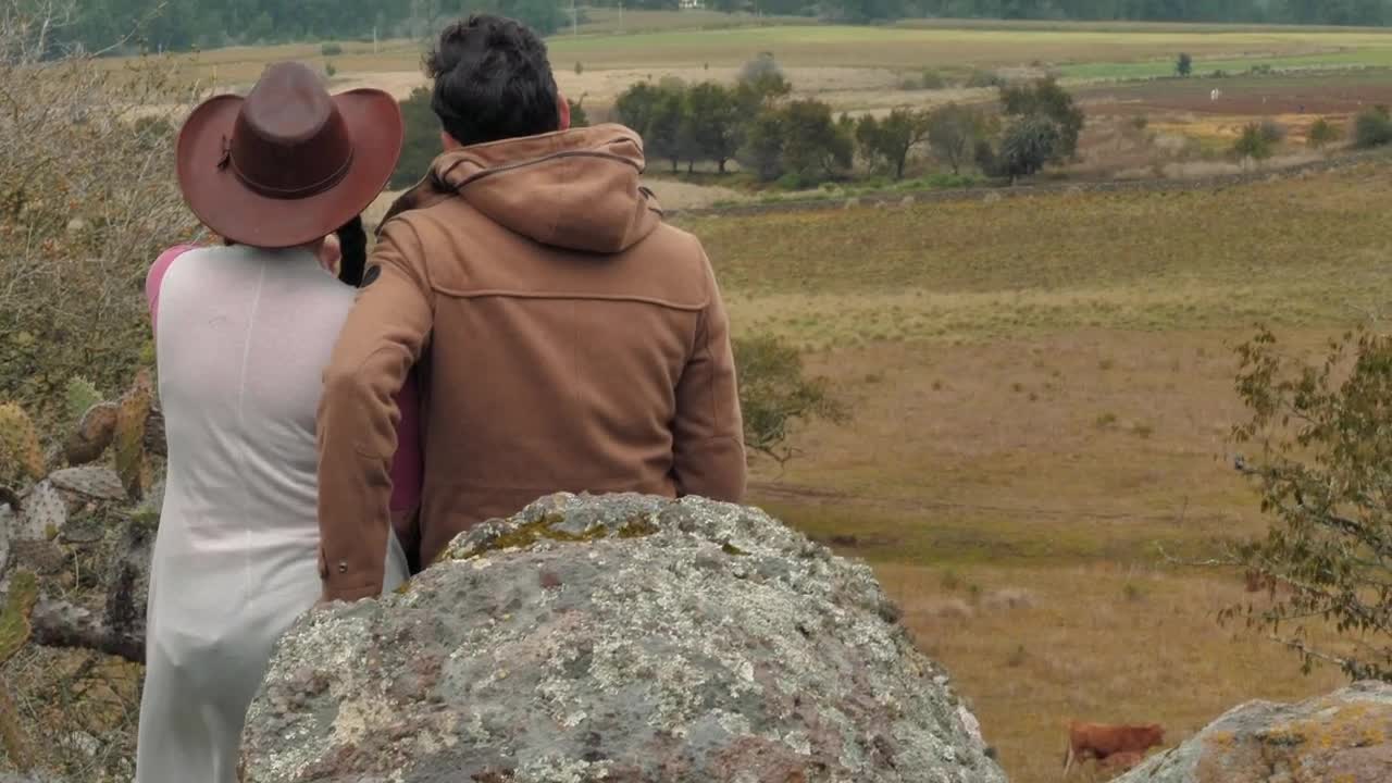 Free Stock Video Shot From Behind A Couple Watching The Landscape Live Wallpaper