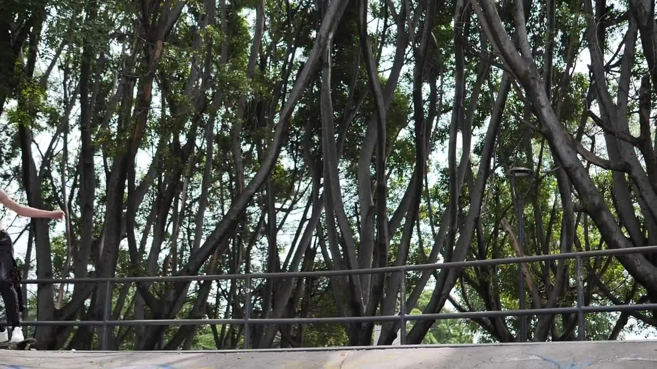 Free Video Stock Skater Going Down A Park Ramp Live Wallpaper