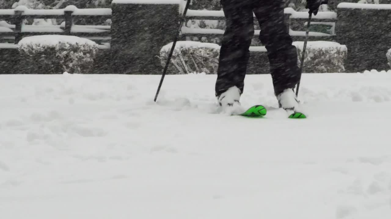 Free Video Stock Skiing Through A Park Live Wallpaper