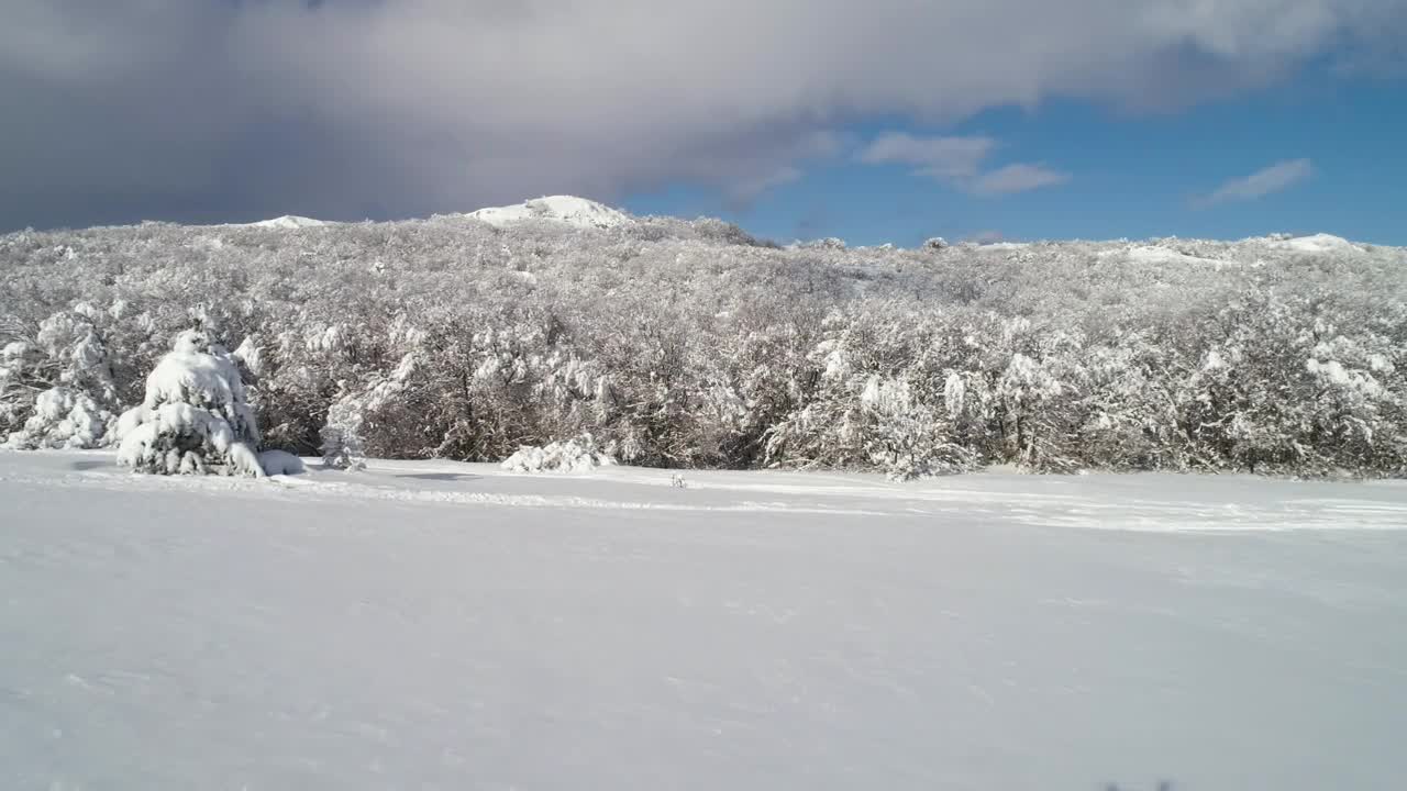 Free Video Stock Snow Covering The Countryside Live Wallpaper