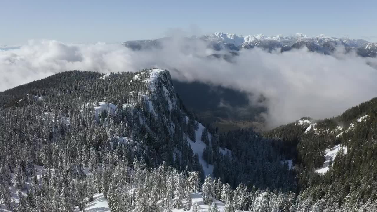 Free Video Stock Snowy Mountain In Canada Full Of Pine Trees Live Wallpaper