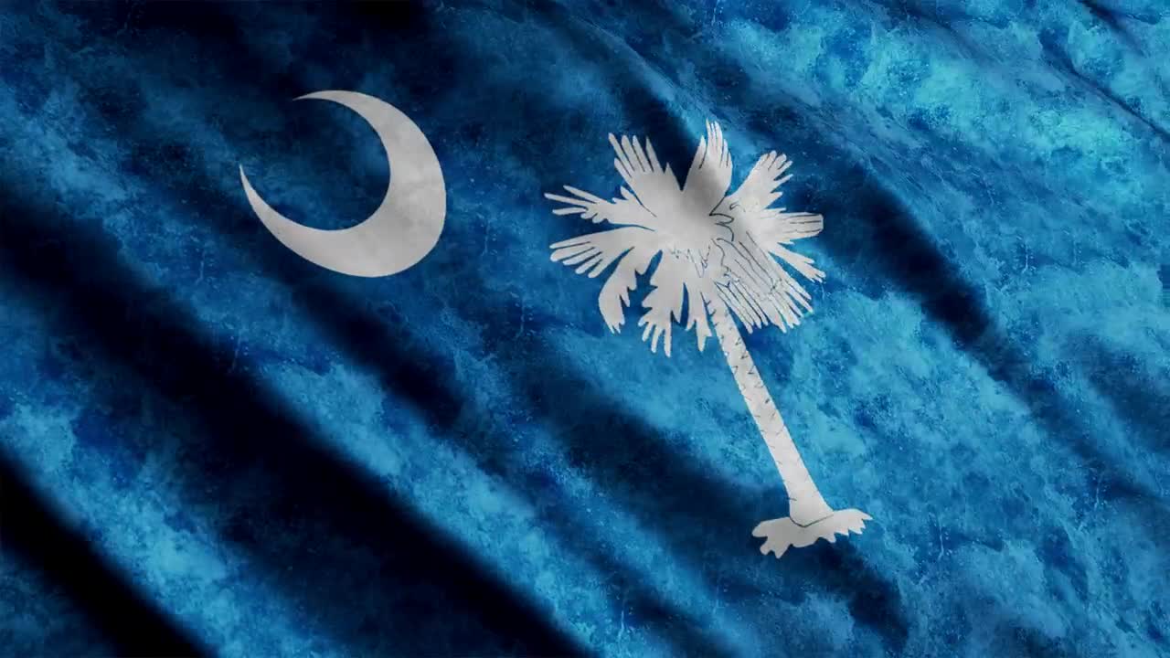 Free Video Stock South Carolina Flag In United States Of America Live Wallpaper