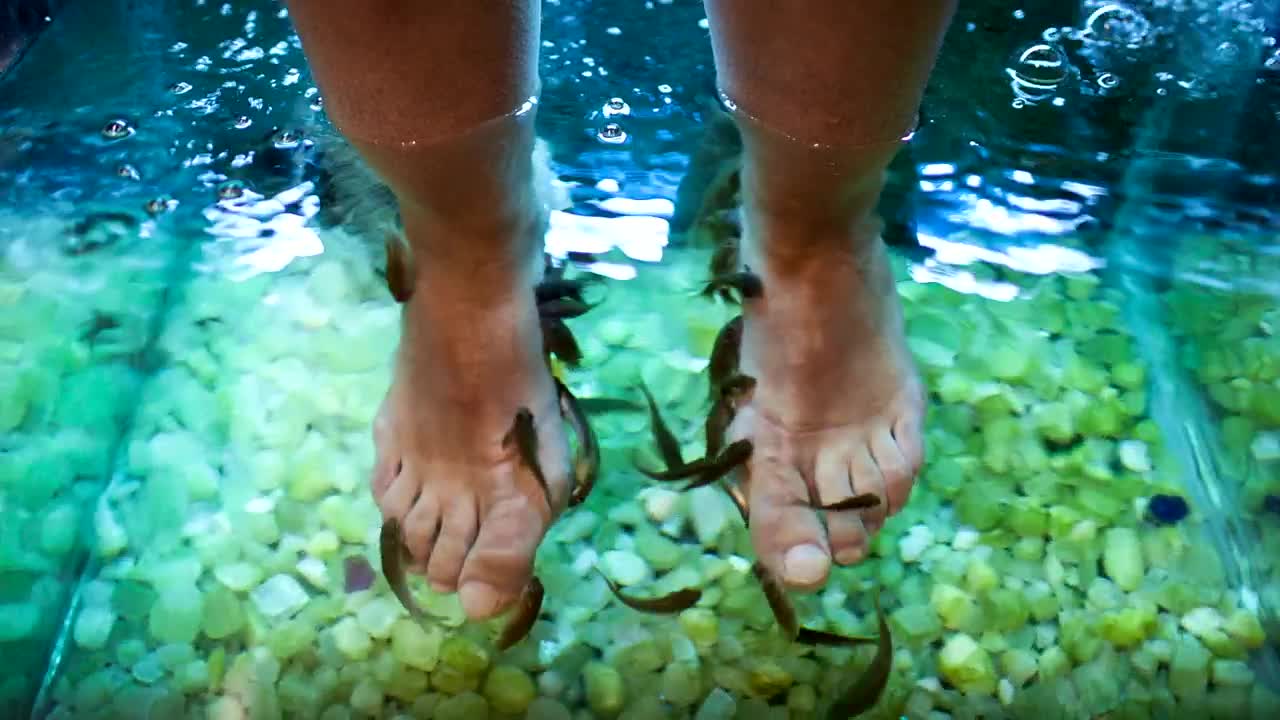 Free Video Stock Spa Foot Treatment Live Wallpaper