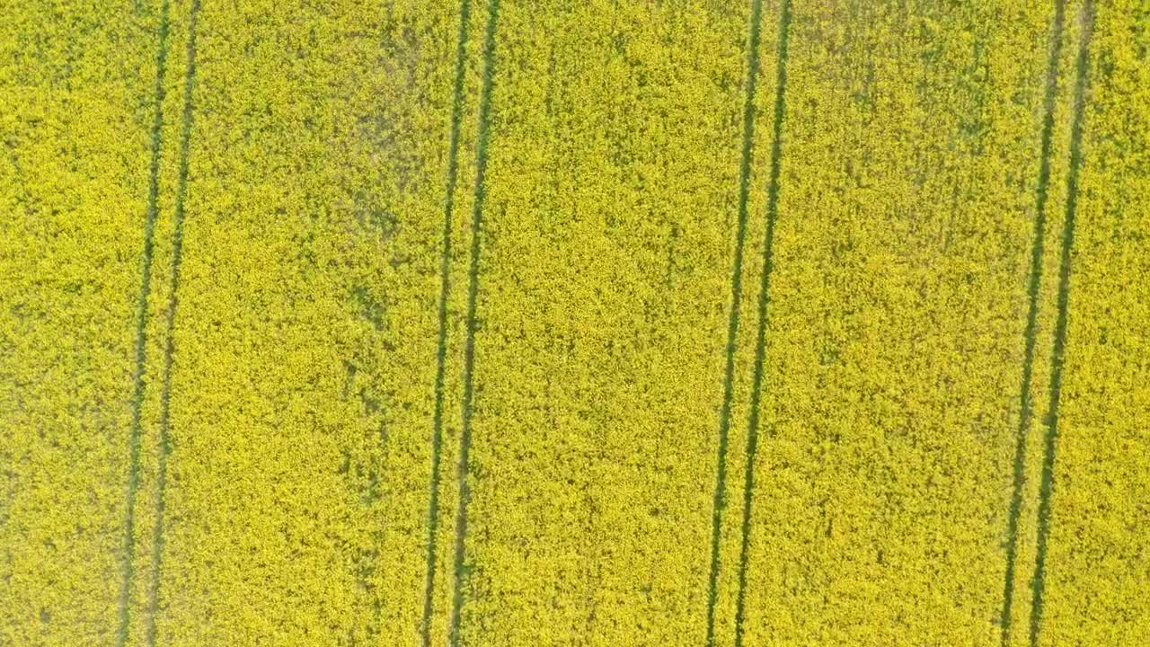 Free Video Stock Spinning Footage Of A Farm Live Wallpaper