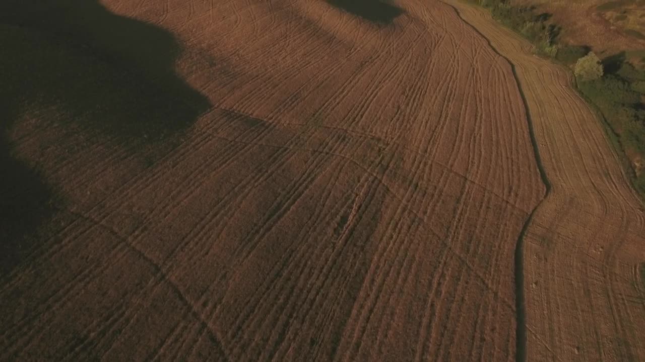 Free Video Stock Sunny Fields Live Wallpaper