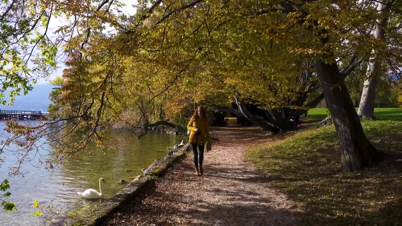Free Video Stock tourist woman walking along the lake shore Live Wallpaper