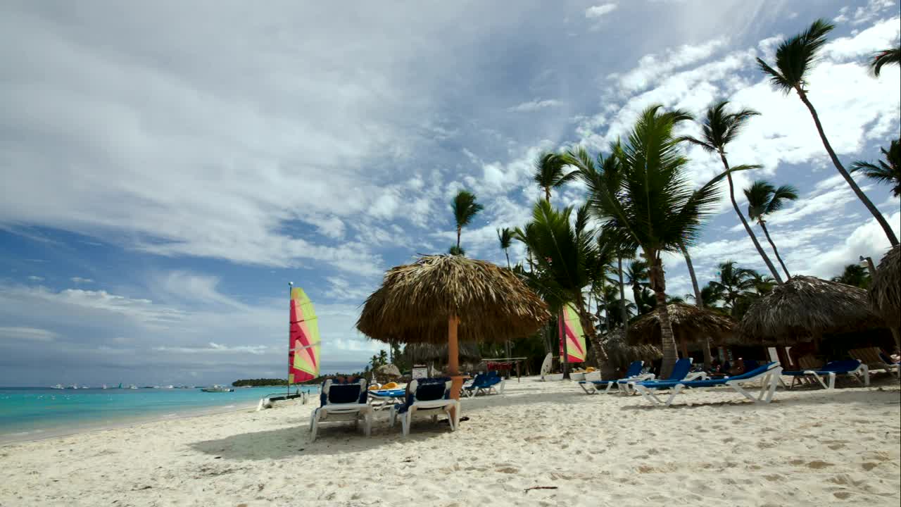 Free Video Stock tractor driving down a tropical beach Live Wallpaper