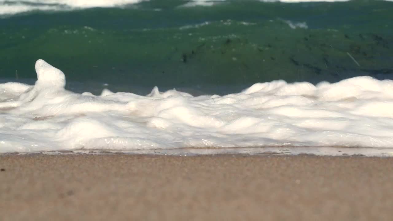Free Stock Video Waves And Seaweed Washing Ashore Live Wallpaper