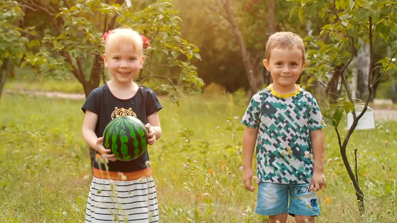Free Stock Video Two Little Boys Waving At The Camera Live Wallpaper