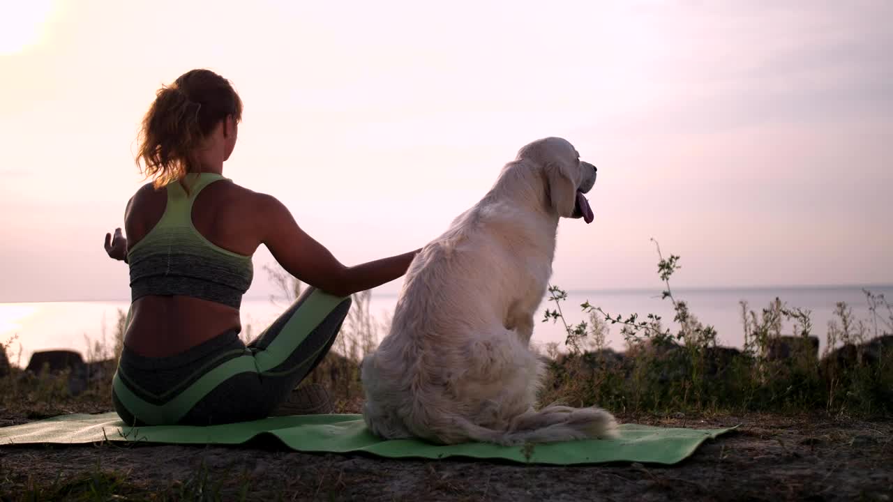 Free Stock Video Young Woman Meditating With Her Dog Aside Near Sea Live Wallpaper