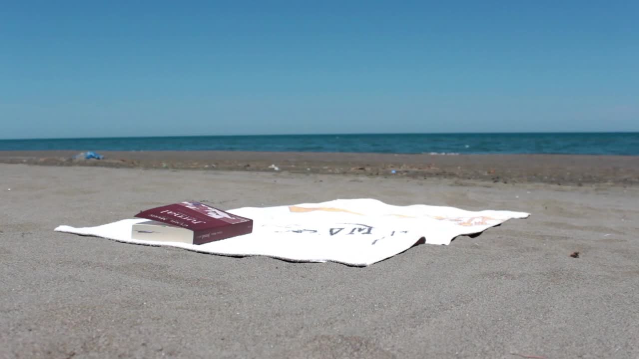 Free Stock Video Young Man Reading A Book Lying On The Beach Live Wallpaper