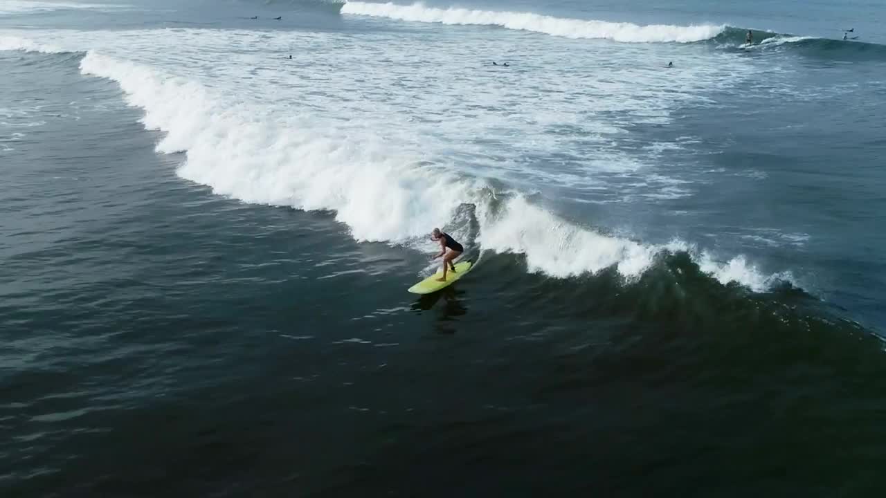 Free Stock Video Woman Practicing Surf Aerial Full Shot Live Wallpaper