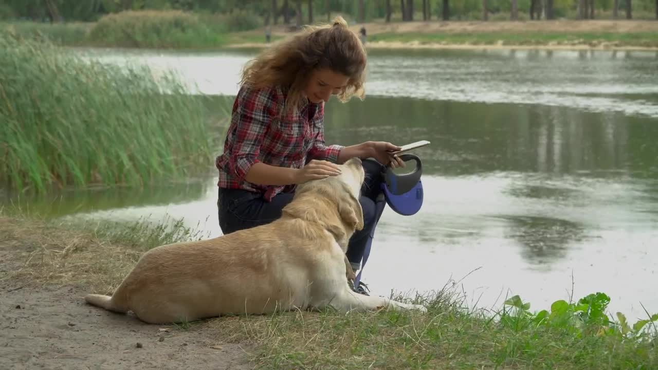   Stock Footage Woman And Her Dog Spending Time Together Live Wallpaper