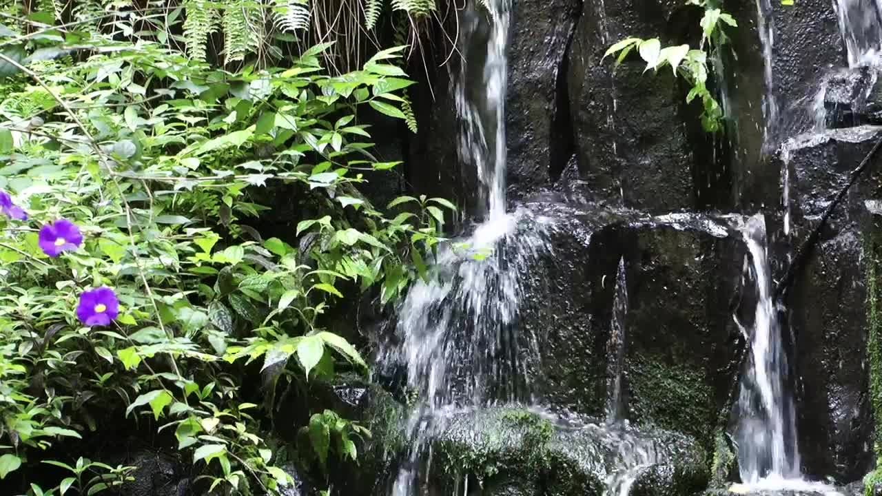   Stock Footage Waterfall On The Rocks In Nature Live Wallpaper