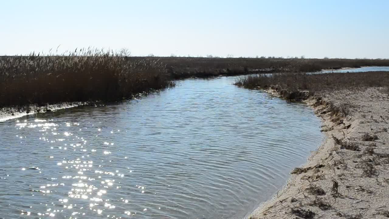   Stock Footage Water Flowing Towards The Ocean Live Wallpaper
