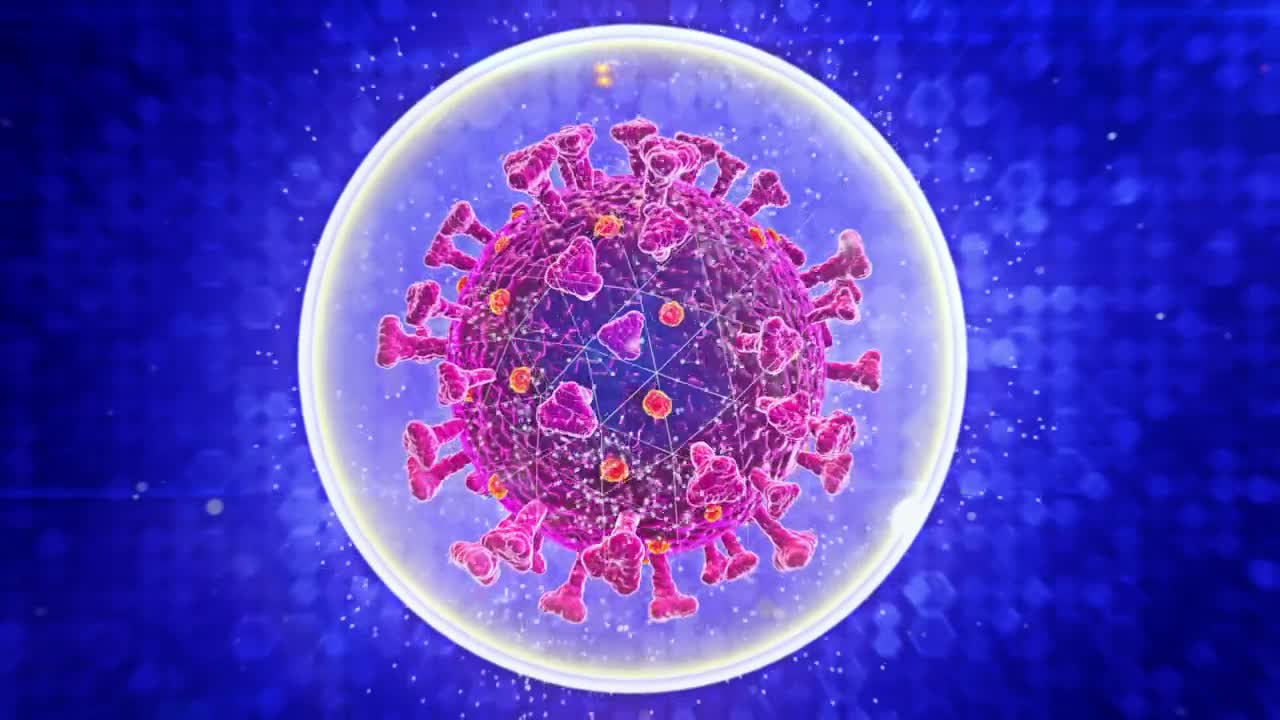   Stock Footage Virtual Representation Of A Virus Live Wallpaper