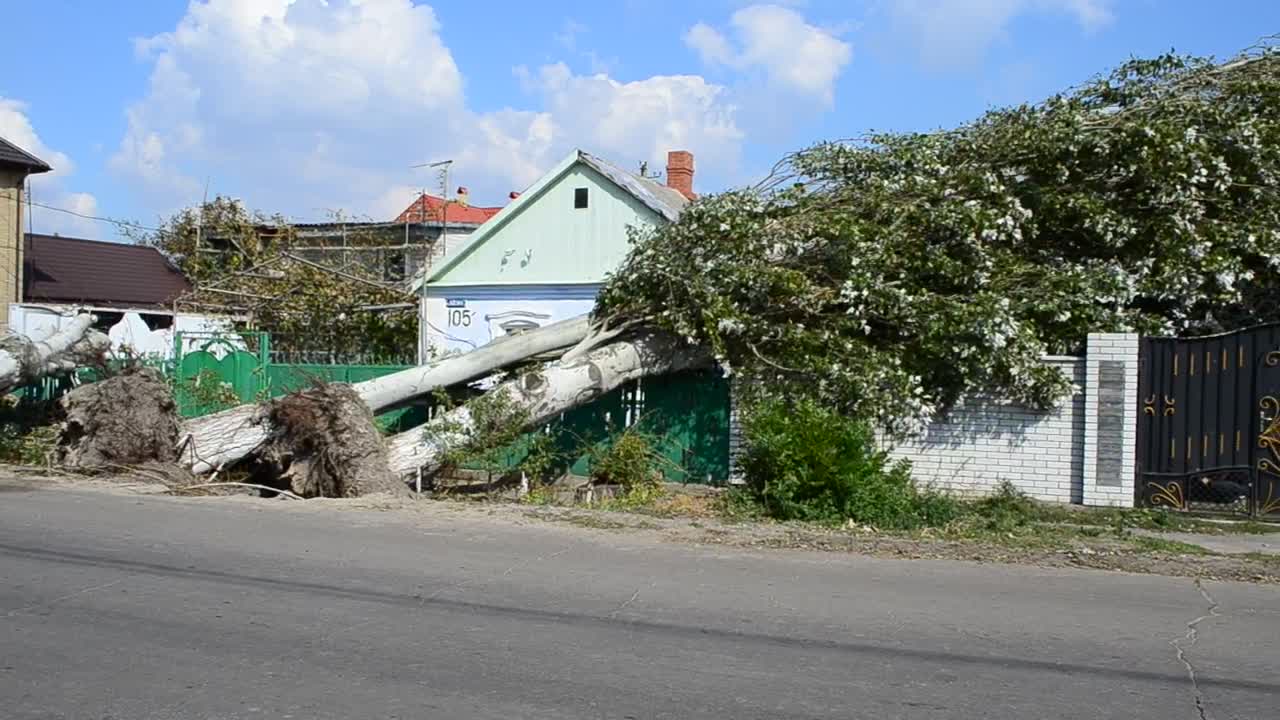   Stock Footage Urban Disaster After The Hurricane Live Wallpaper