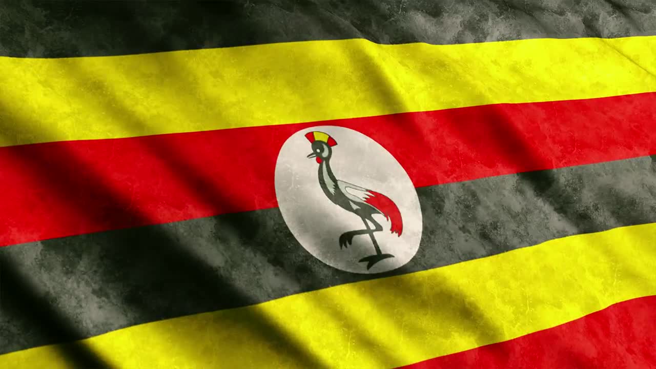   Stock Footage Uganda Waving Flag From African Continent Live Wallpaper