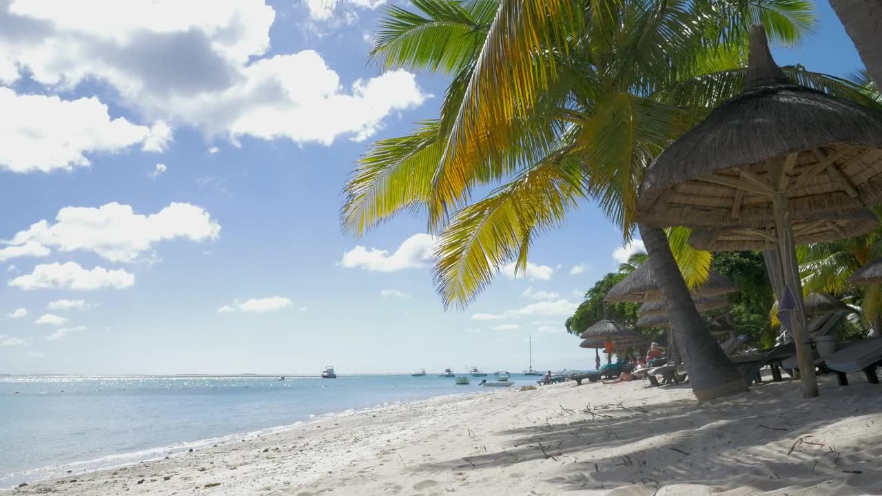   Stock Footage Tropical Beach With Calm Water Live Wallpaper
