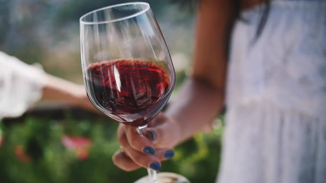 Stock Footage Woman Holding A Wine Glass At A Vineyard Live Wallpaper Free