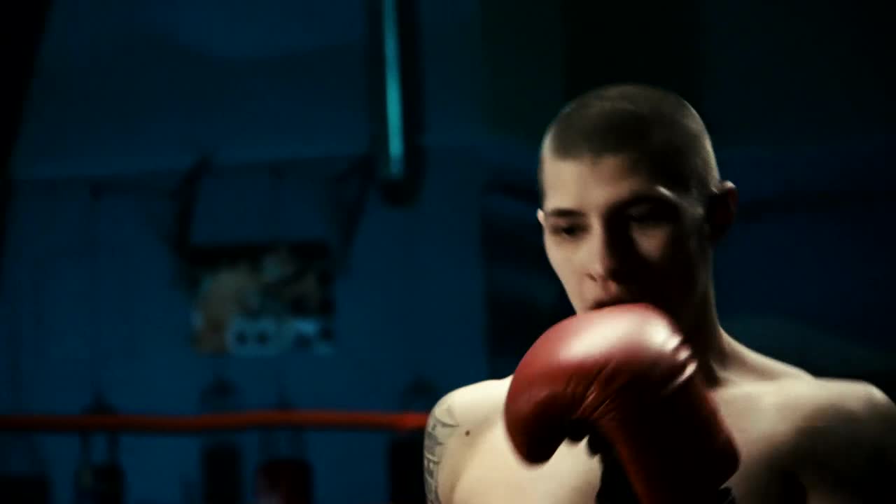 Stock Footage Young Man Hitting The Punching Bag Live Wallpaper Free