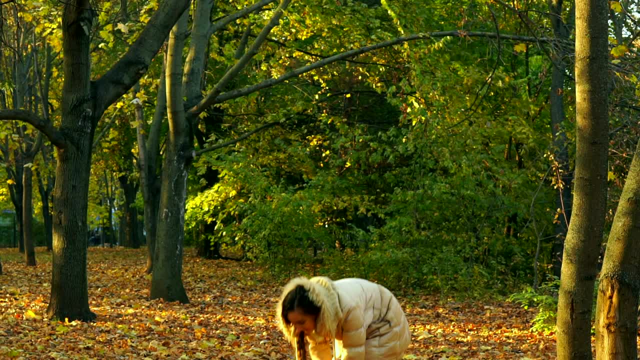 Stock Footage Young Girl Throwing Yellow Autumn Leaves In The Forest Live Wallpaper Free