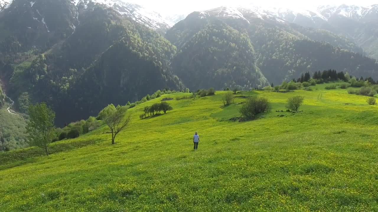 Stock Footage Woman Walking In Alpine Meadows Live Wallpaper Free
