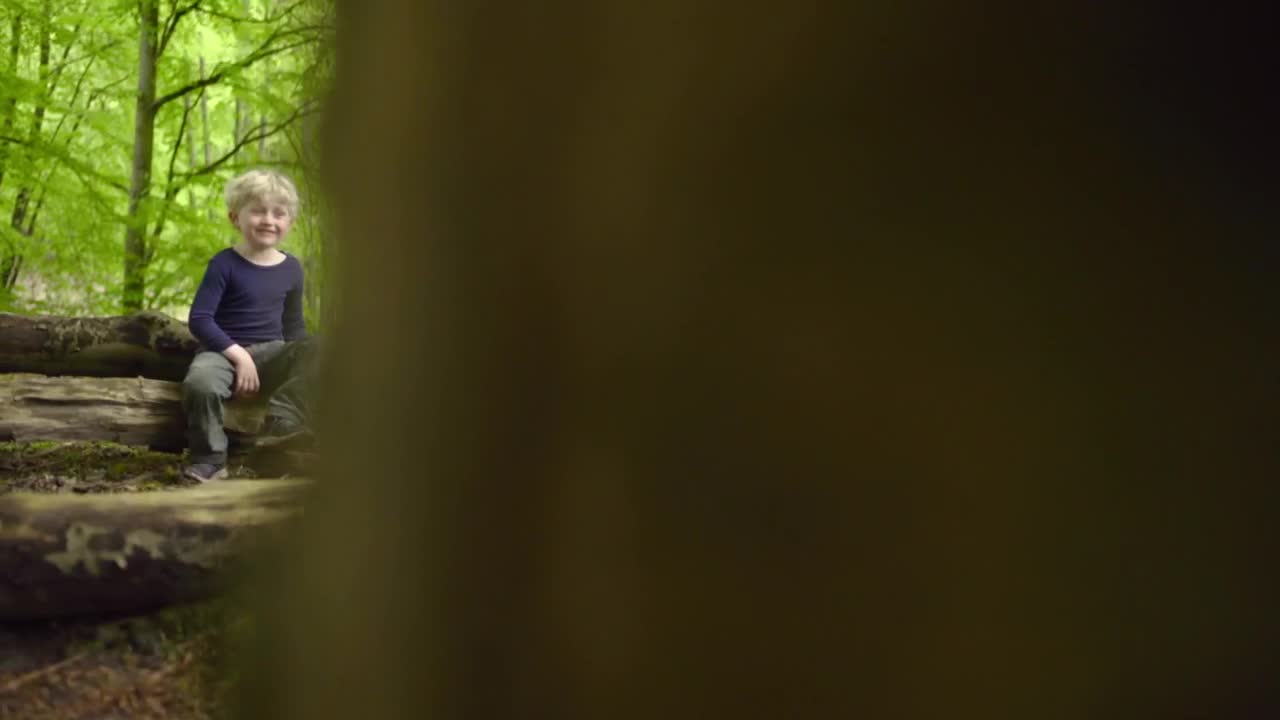 Stock Footage Young Man Playing With A Fallen Tree Live Wallpaper Free