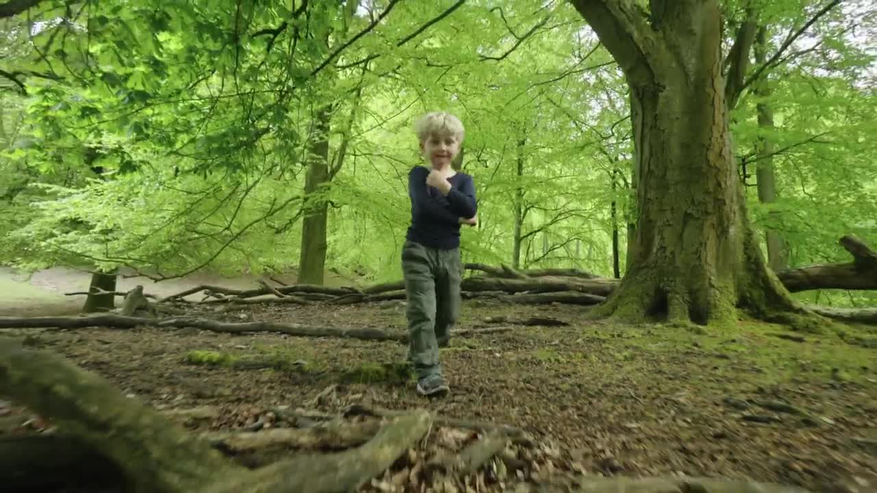 Stock Footage Young Child Following The Camera Live Wallpaper Free
