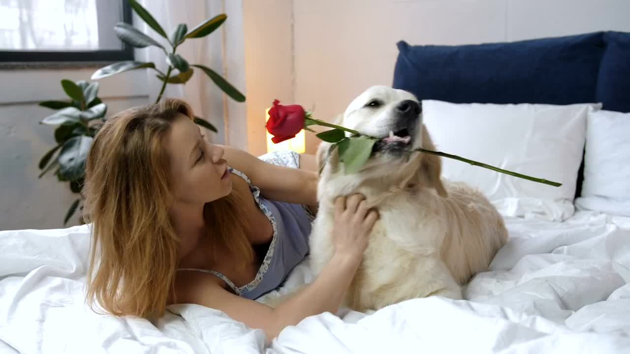 Stock Footage Woman Playing With Her Dog Live Wallpaper Free