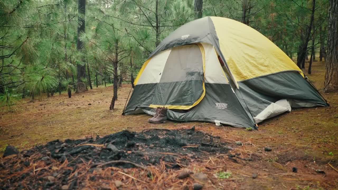 Stock Footage Woman Leaving Her Tent In The Wood Live Wallpaper Free