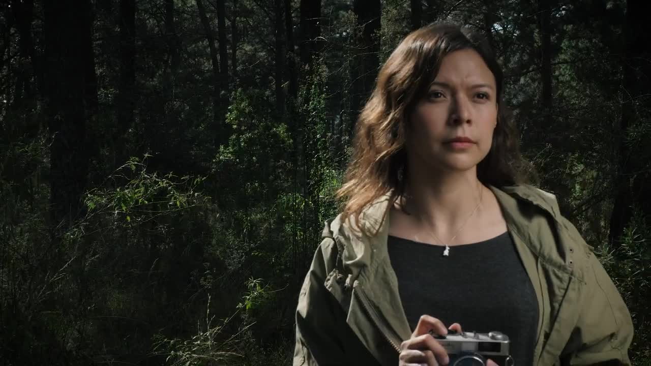 Stock Footage Woman Taking Photos In The Woods With Vintage Camera Live Wallpaper Free