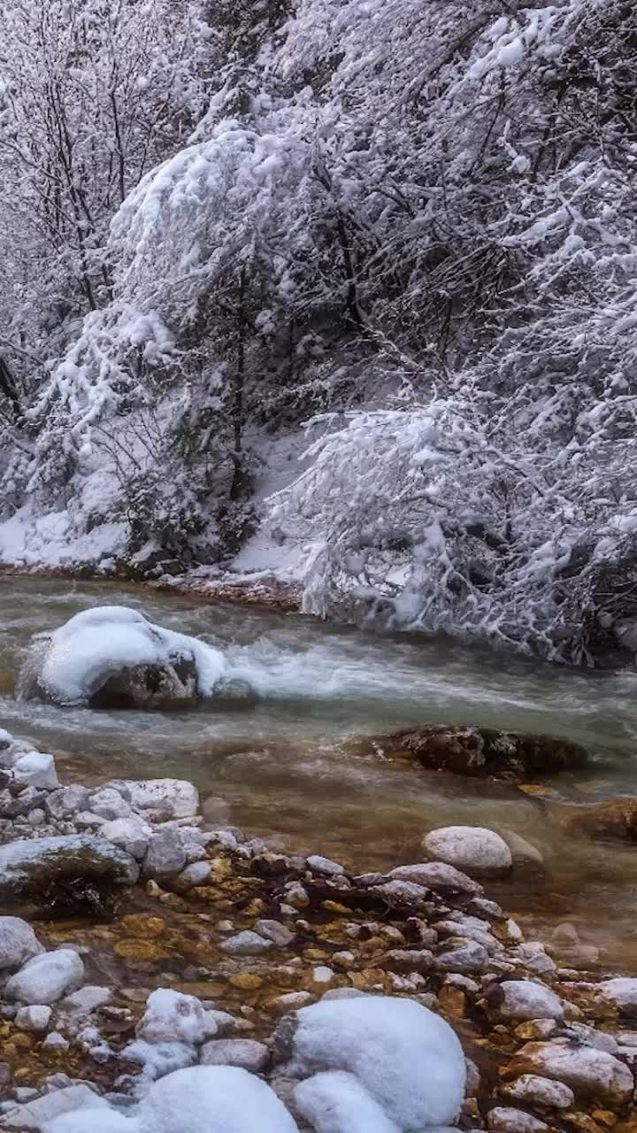 Cool river in winter forest iphone wallpaper aesthetic