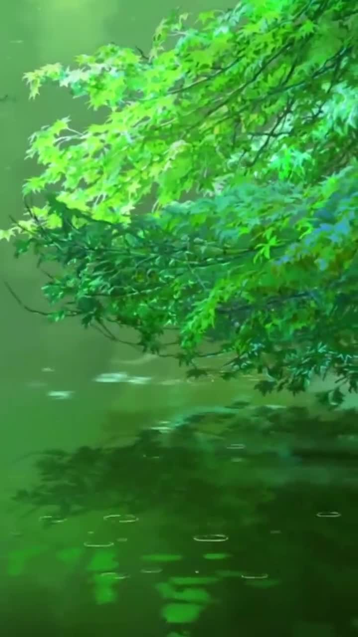 iPhone and Android Green Leaves Live Phone Wallpaper