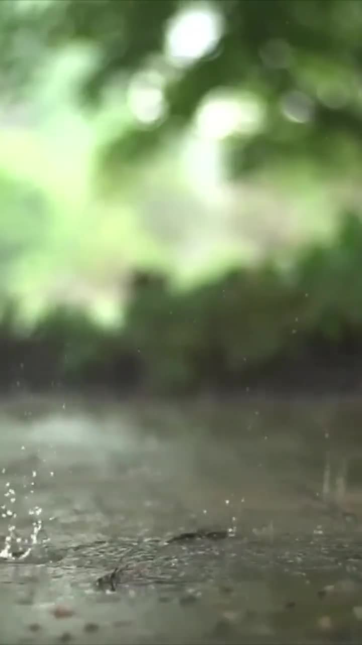 iPhone and Android Rain Drops Rippling Live Phone Wallpaper