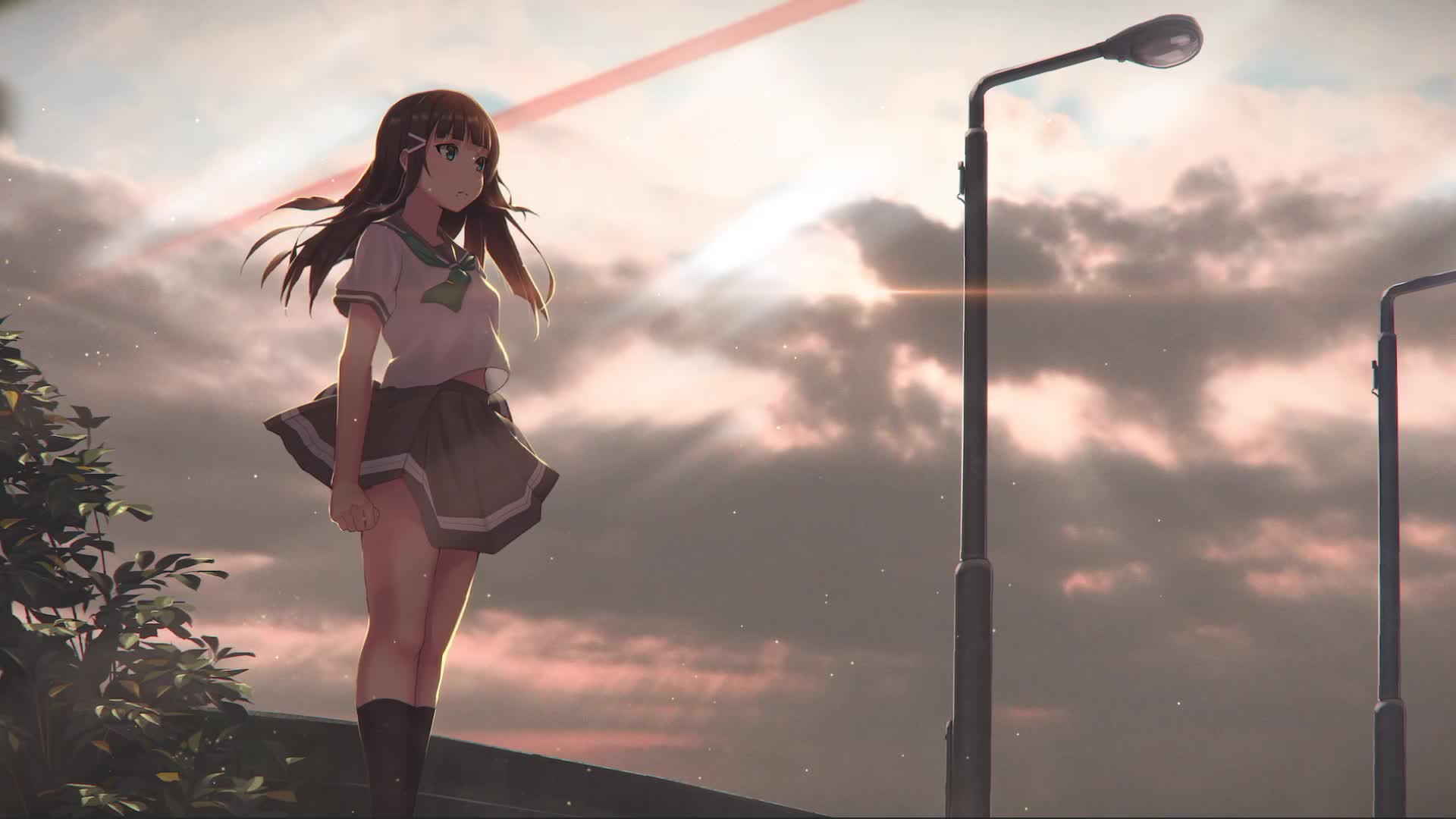 My Story Animated