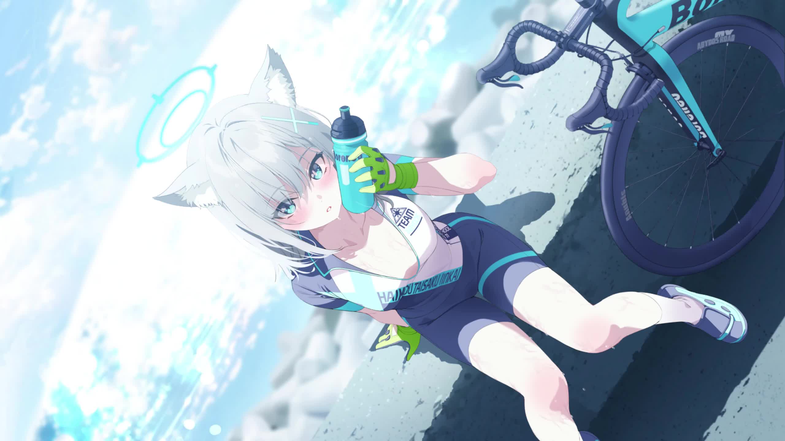 Live2D Azure Lane Bicycle Girl Live Anime Wallpaper