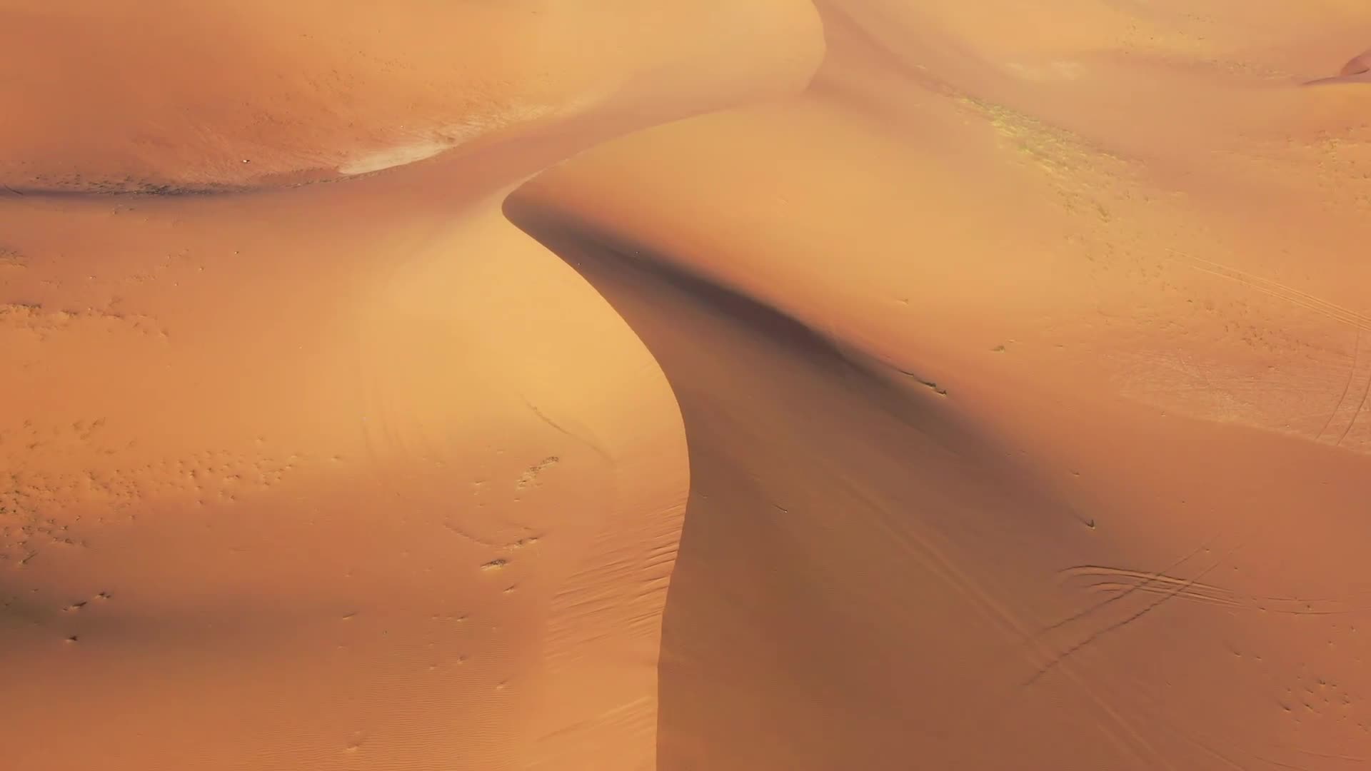 Desert 010 Lively Wallpaper
