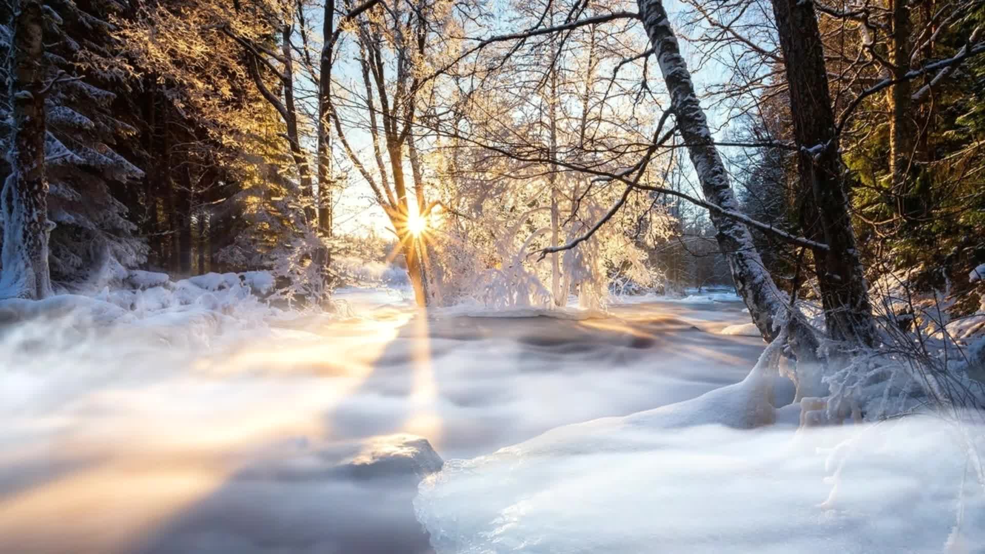 Snow 007 Lively Wallpaper