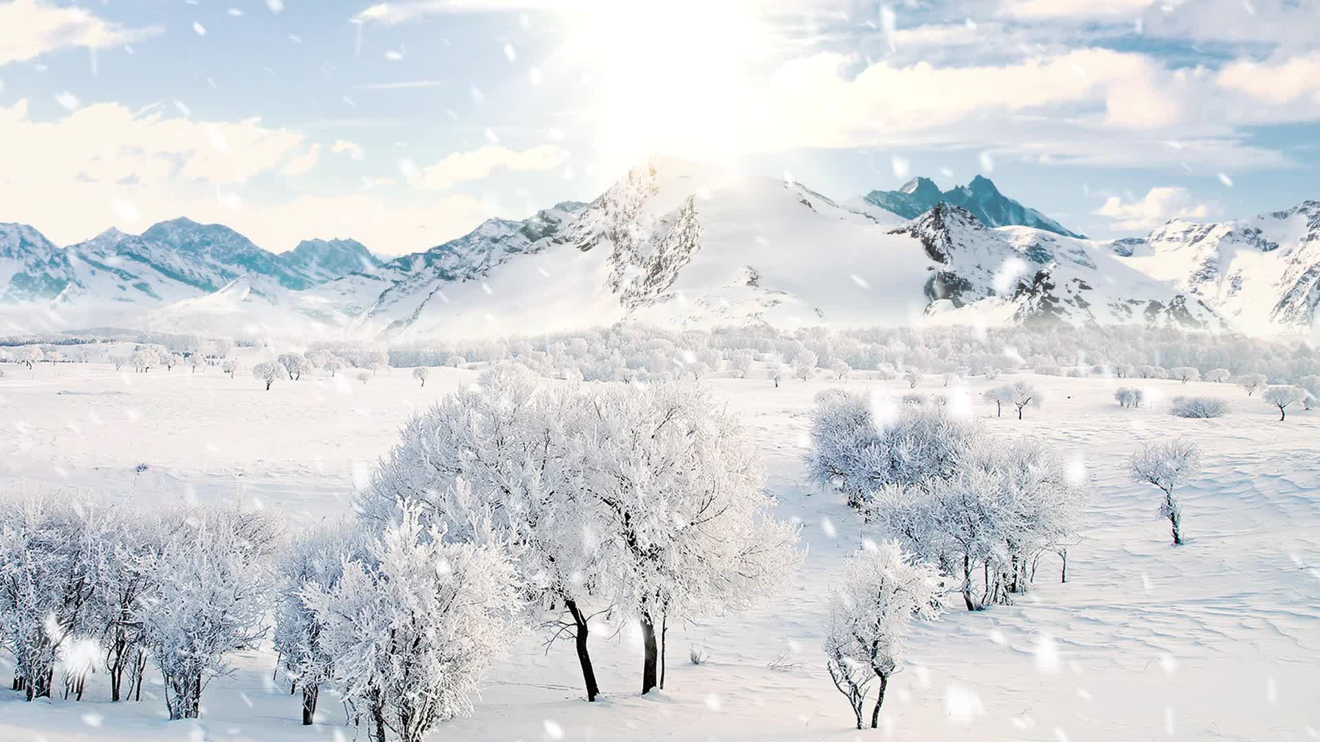 Snow 046 Lively Wallpaper