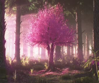 Sakura Tree Anime Live Wallpaper