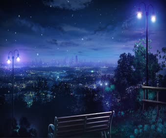 Live Night View Wallpaper
