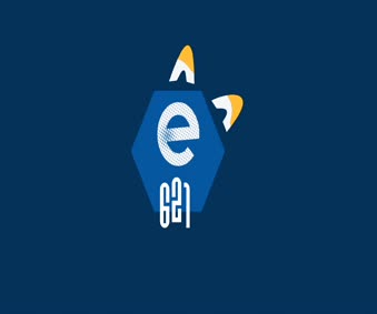 e621 Animated