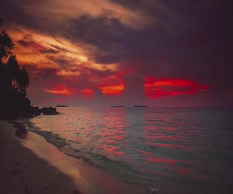 Beach Landscape