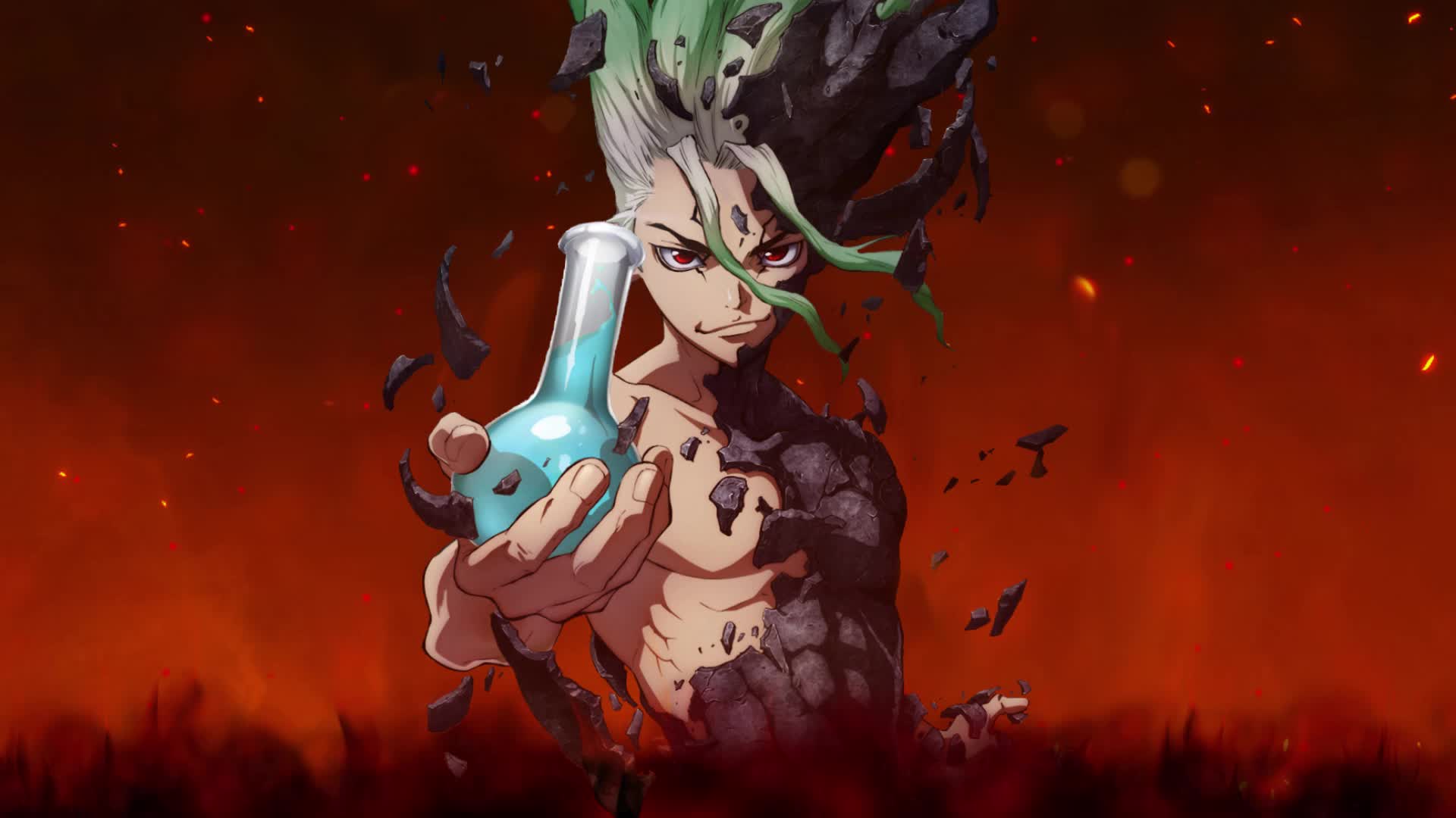 Dr Stone