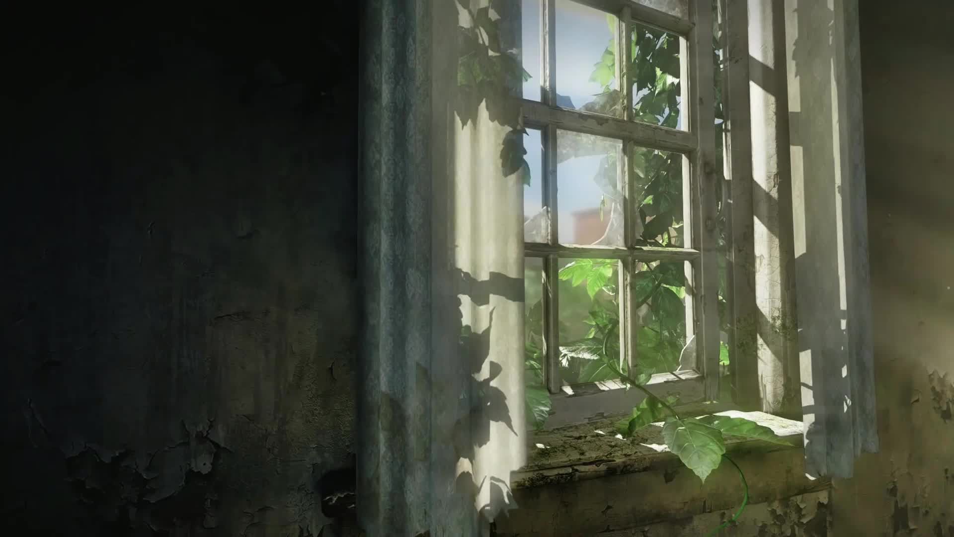 The Last of Us HDR